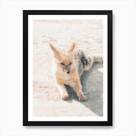Desert Fox Art Print