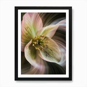 Flower Wisdom Art Print