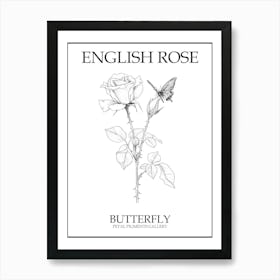 English Rose Butterfly Line Drawing 4 Poster Art Print