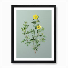 Vintage Yellow Buttercup Flowers Botanical Art on Mint Green Art Print