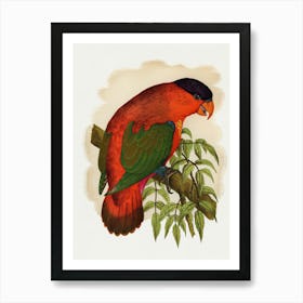 King Parrot 3 Art Print