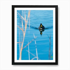 Duck In Water 20220101 123ppub Art Print