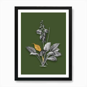Vintage Daylily Black and White Gold Leaf Floral Art on Olive Green n.0629 Art Print