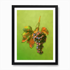 Vintage Raisin Grape Botanical Art on Love Bird Green n.0484 Art Print