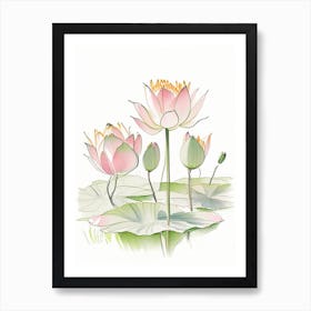 Lotus Flowers In Park Pencil Illustration 3 Art Print