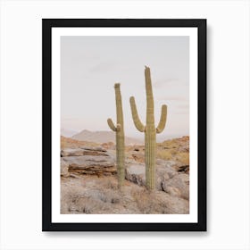 Pastel Arizona Sunset Art Print