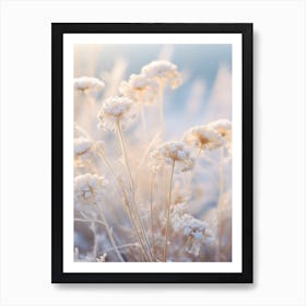 Frosty Botanical Scabiosa 4 Art Print