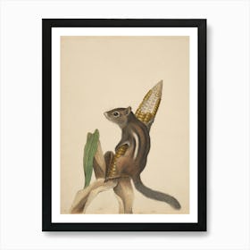 Chipmunk On Corn Art Print