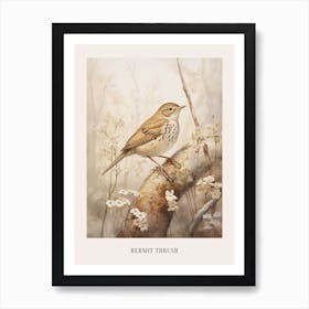 Vintage Bird Drawing Hermit Thrush 1 Poster Art Print