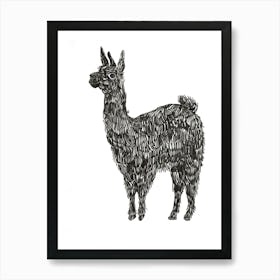 B&W Llama Art Print