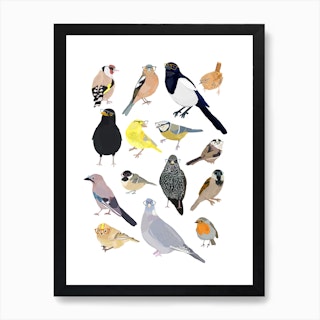 Uk Birds Art Print