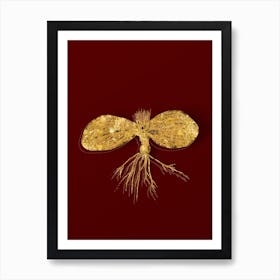 Vintage Massonia Pustulata Botanical in Gold on Red Art Print