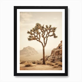  Photograph Of A Joshua Tree In Grand Canyon 2 Art Print