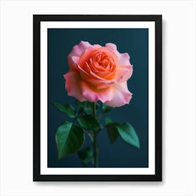 English Roses Painting Minimalist 4 Art Print