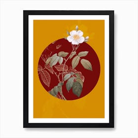 Vintage Botanical Big Leaved Climbing Rose on Circle Red on Yellow n.0313 Art Print