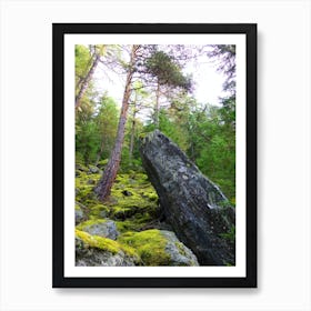 Moss Covered Rocks In The Forest 1 Art Print