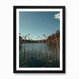 Nature Grass In A Lake Art Print