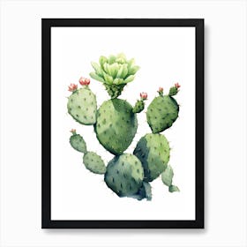 Notocactus Cactus Watercolour Drawing 3 Art Print