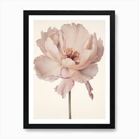 Floral Illustration Tulip 3 Art Print