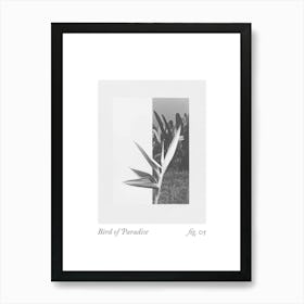 Bird Of Paradise Botanical Collage 1 Art Print