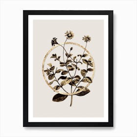 Gold Ring Blue Marguerite Plant Glitter Botanical Illustration Art Print