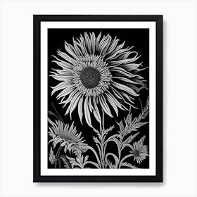 Compass Plant Wildflower Linocut Art Print