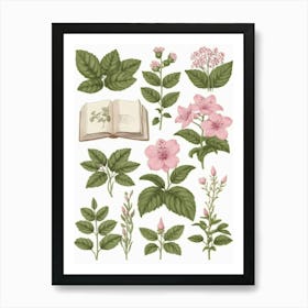 Botanical Illustration Art Print