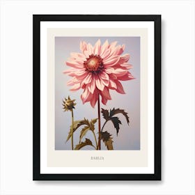 Floral Illustration Dahlia 3 Poster Art Print