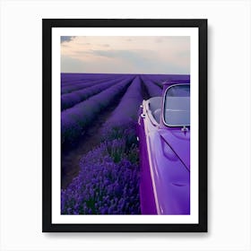 Lavender Field Art Print