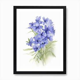 Wild Blue Phlox Wildflower Watercolour 1 Art Print