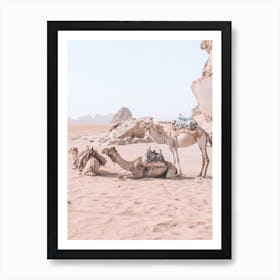 Camel Travel Art Print