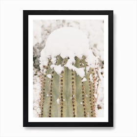 Saguaro In Snow Art Print