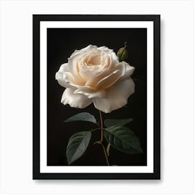 White Rose 1 Art Print