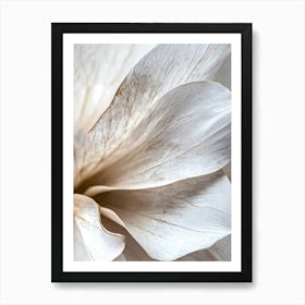 Abstract minimal White Flower Art Print