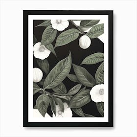 White Hibiscus Art Art Print