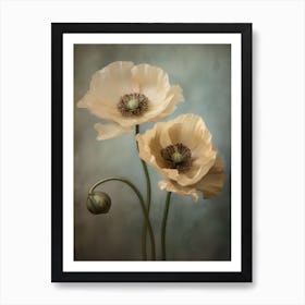 Poppies 23 Poster