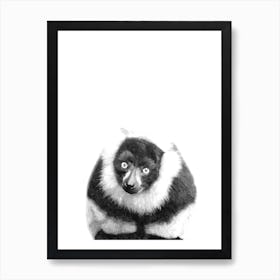 Black and White Lemur Illustration Art Print