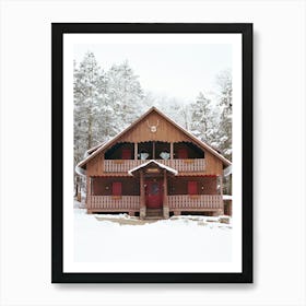 Upstate New York Snow XI on Film Art Print