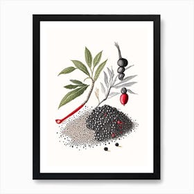 Black Pepper Spices And Herbs Pencil Illustration 4 Art Print