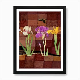 Luxurious Iris Flowers Poster