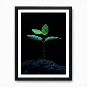 Small Green Plant On Black Background 27 Art Print