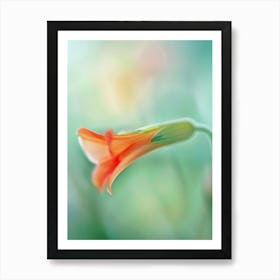 Orange Flower Art Print