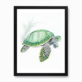 Green Sea Turtle (Chelonia Mydas), Sea Turtle Quentin Blake Illustration 2 Art Print