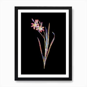 Stained Glass Ixia Tricolor Mosaic Botanical Illustration on Black n.0112 Art Print