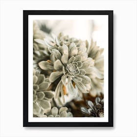 Succulent Art Print