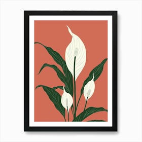 Peace Lily Plant Minimalist Illustration 3 Art Print