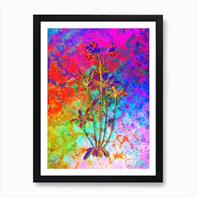 Lily of the Incas Botanical in Acid Neon Pink Green and Blue n.0106 Art Print