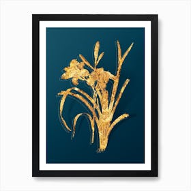 Vintage Orange Day Lily Botanical in Gold on Teal Blue n.0266 Art Print