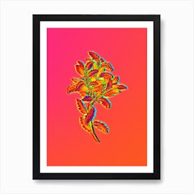 Neon Evergreen Oak Botanical in Hot Pink and Electric Blue Art Print