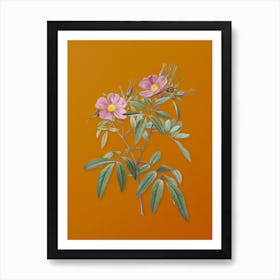 Vintage Pink Swamp Roses Botanical on Sunset Orange n.0349 Art Print